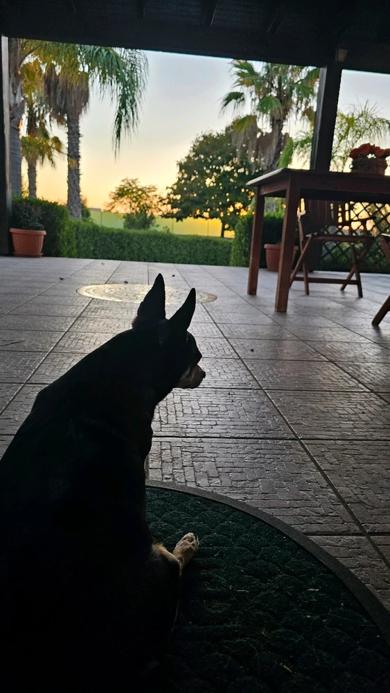 GIF caricata da Giovanni