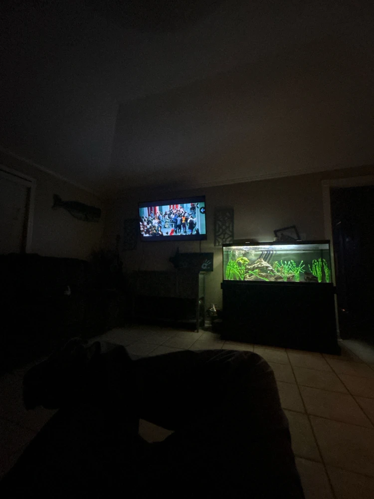 GIF uploaded by Daniel