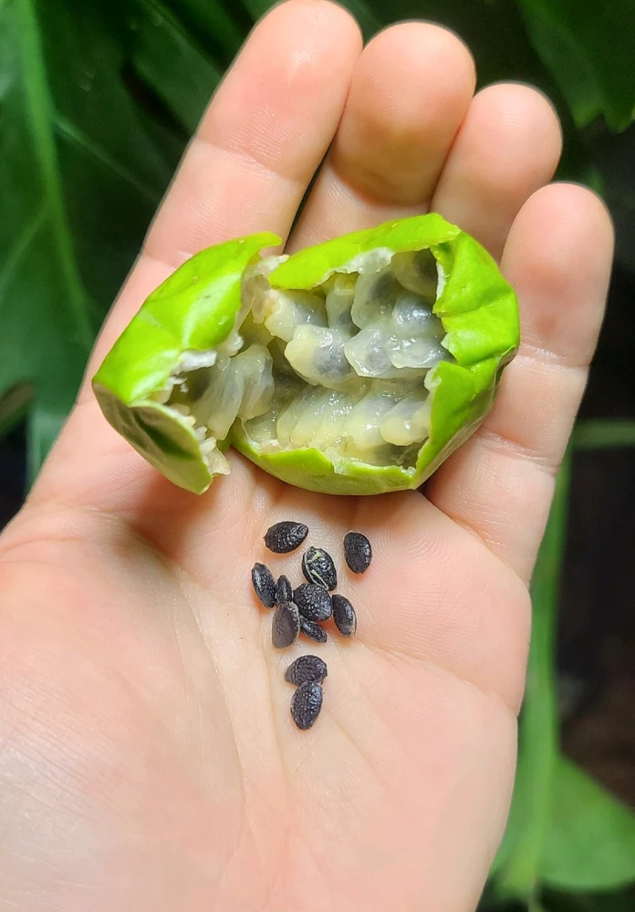 GIF uploaded by Heather