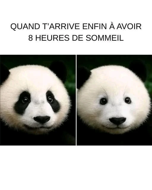 GIF ajouté par Dorian🐞