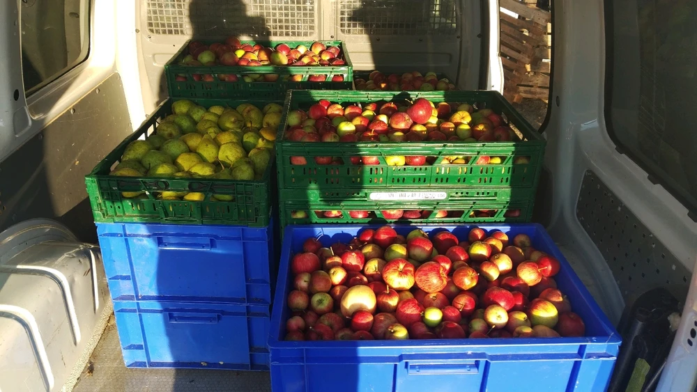 GIF hochgeladen von Tony (hat fleischigen Tauchsieder)