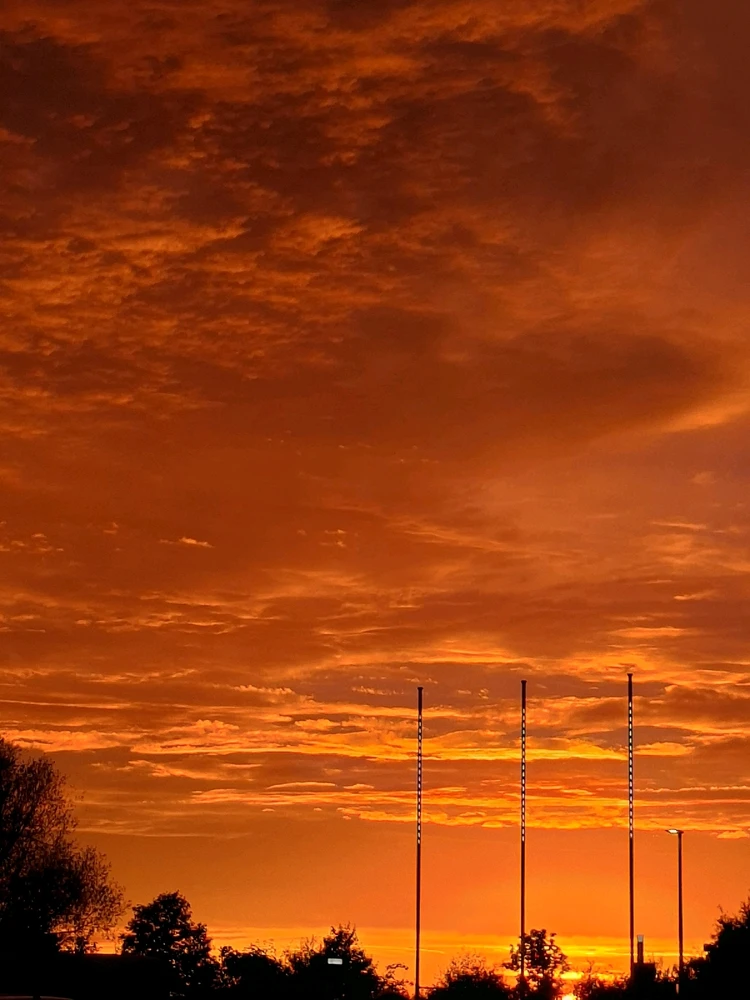 GIF opgelaai deur Simon