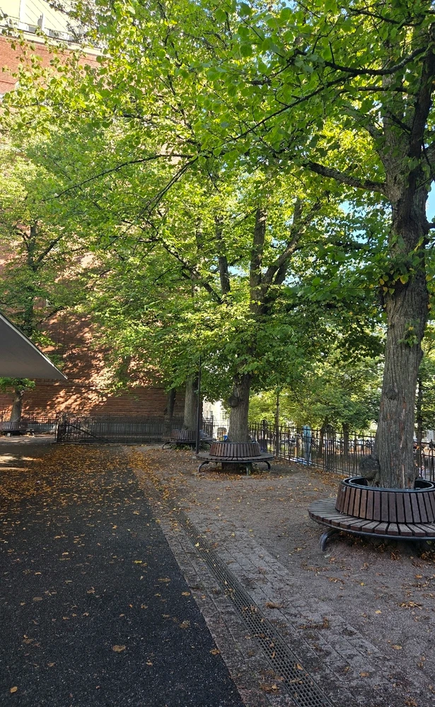 Image uploaded by Sanni