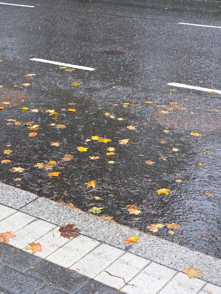 Image uploaded by Sanni