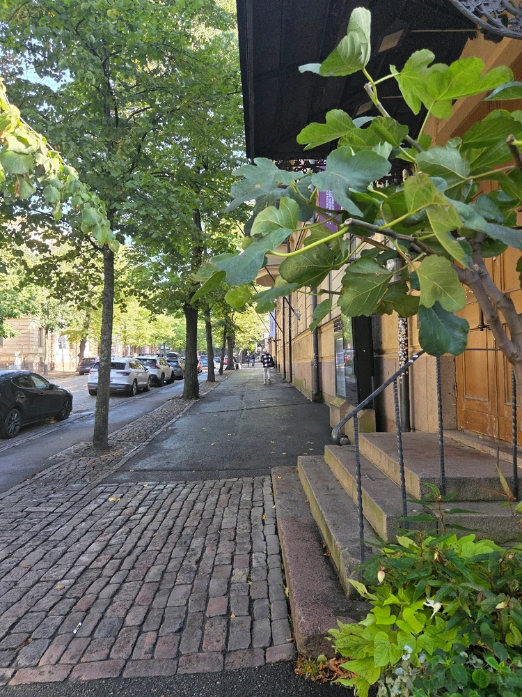 Image uploaded by Sanni