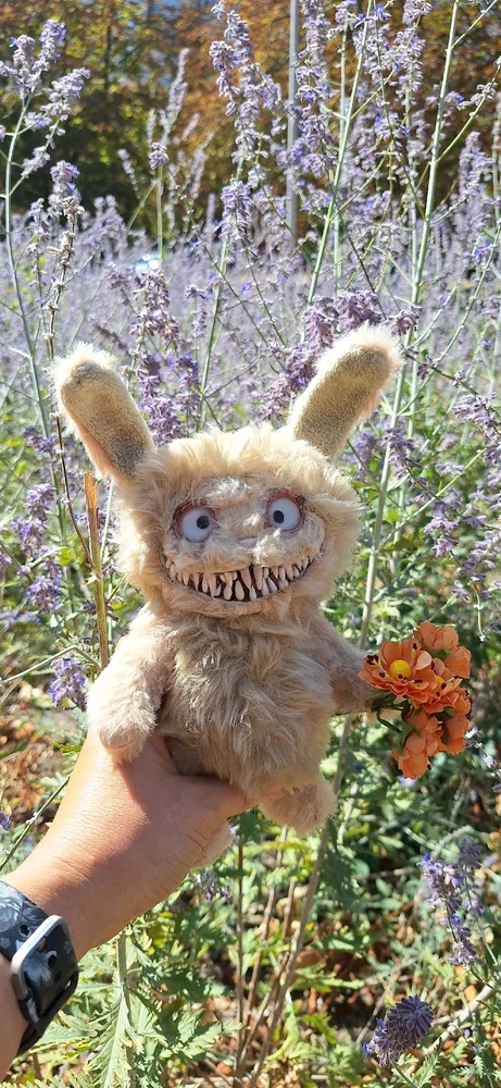 Зображення завантажив Юлія