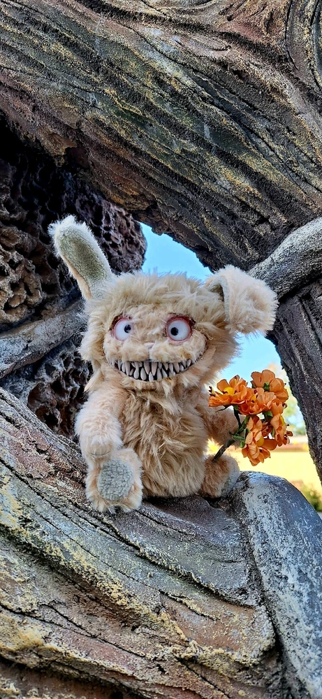 Зображення завантажив Юлія