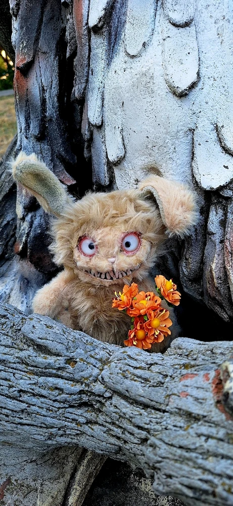 Зображення завантажив Юлія