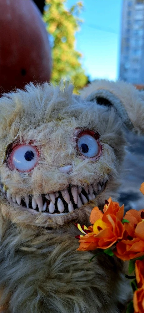 Зображення завантажив Юлія