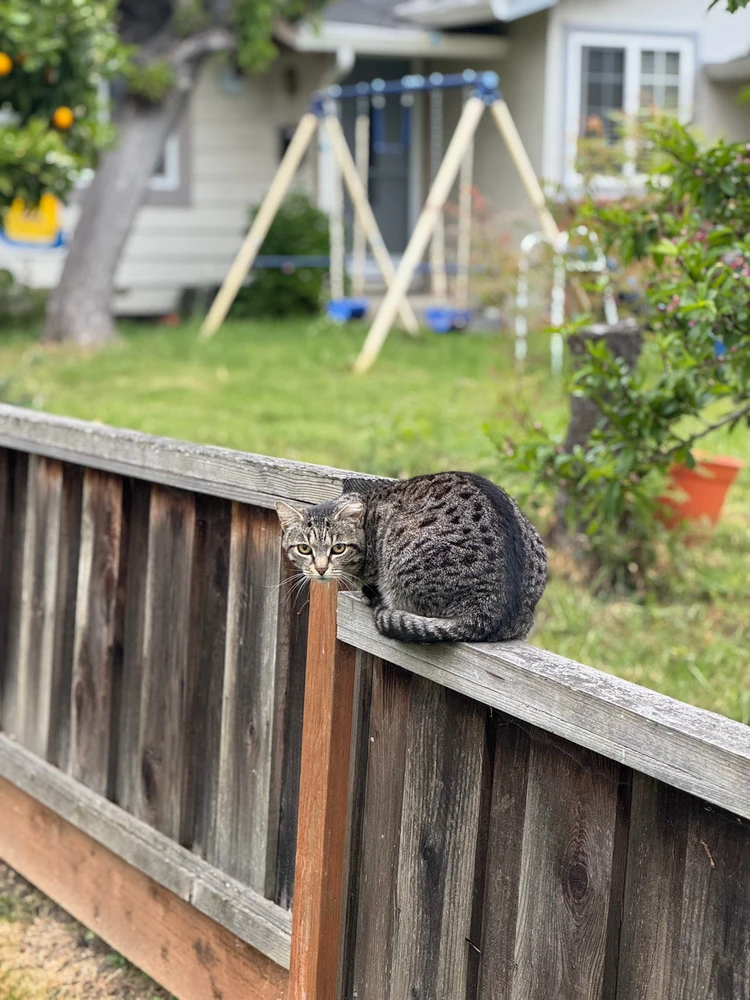 Wtf are you doing here?