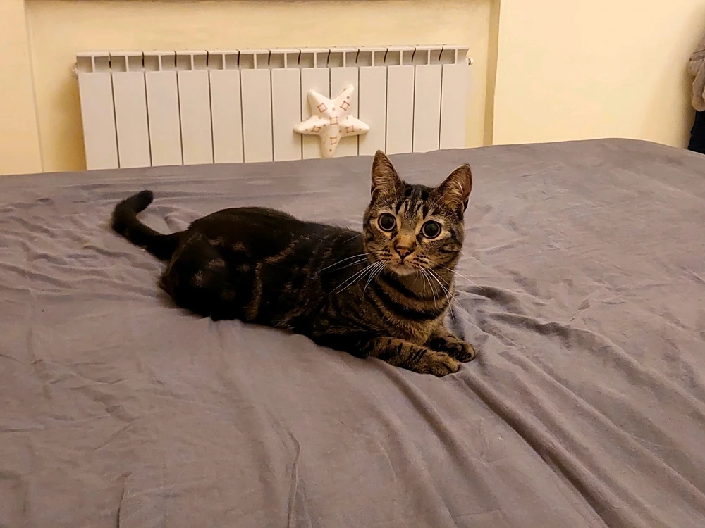 GIF caricata da Davide