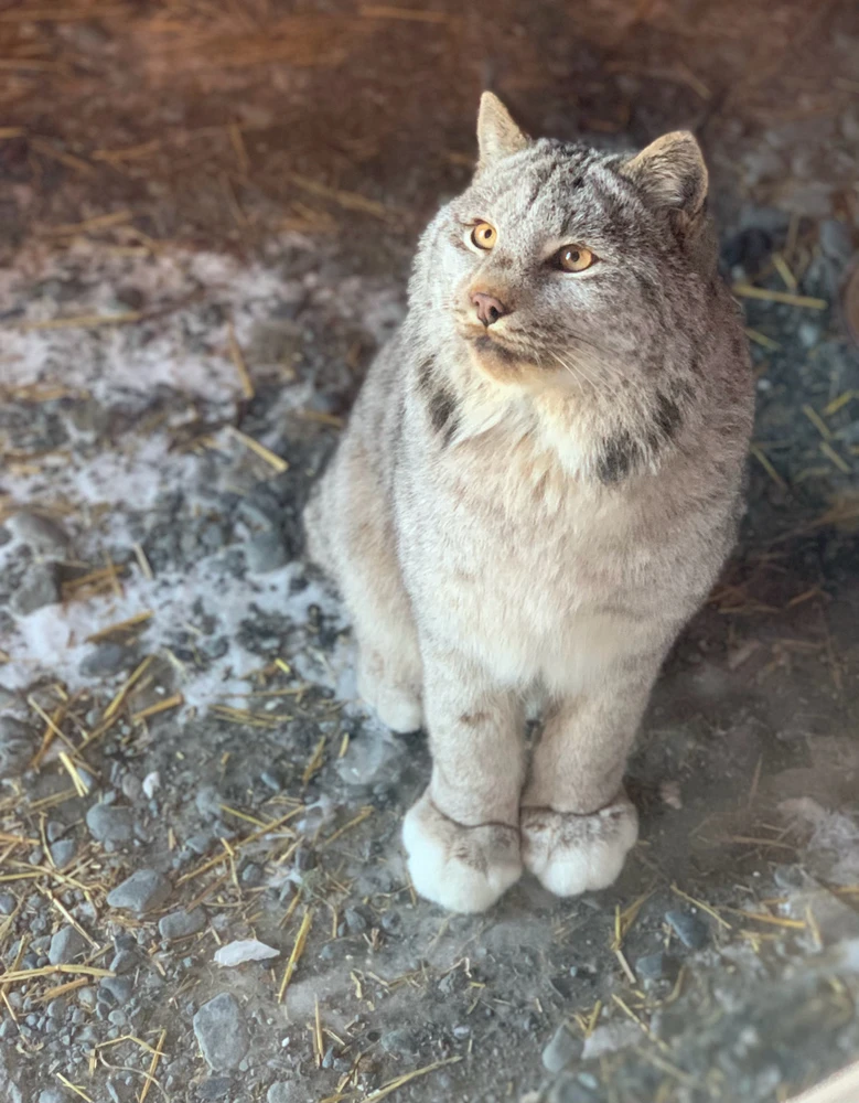 GIF uploaded by 👽