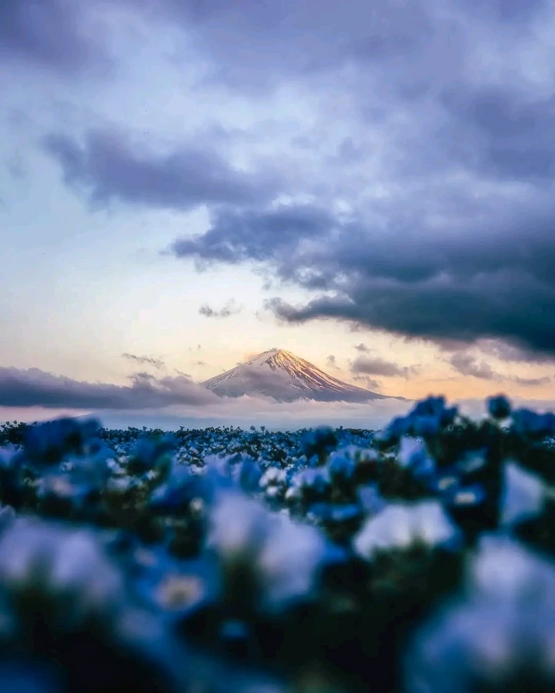 GIF ajouté par Stef