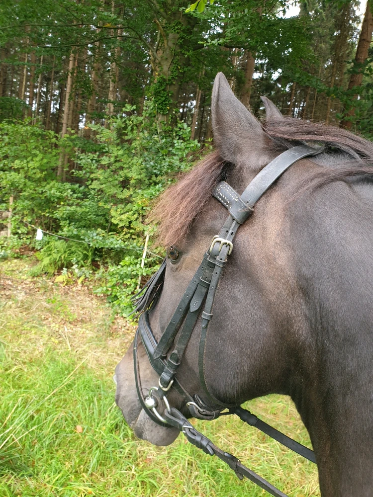 GIF hochgeladen von Leon