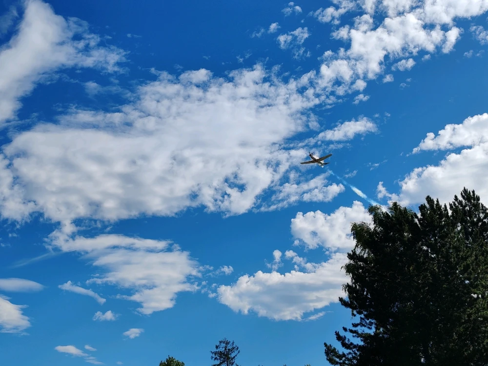 Obrázek nahrál Toñas