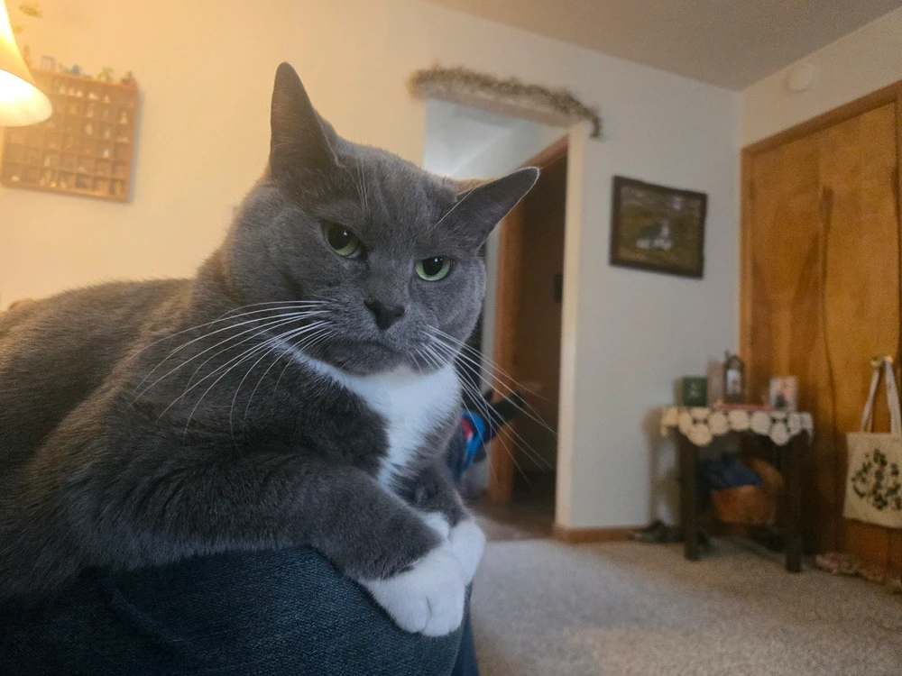 Image uploaded by Christopher