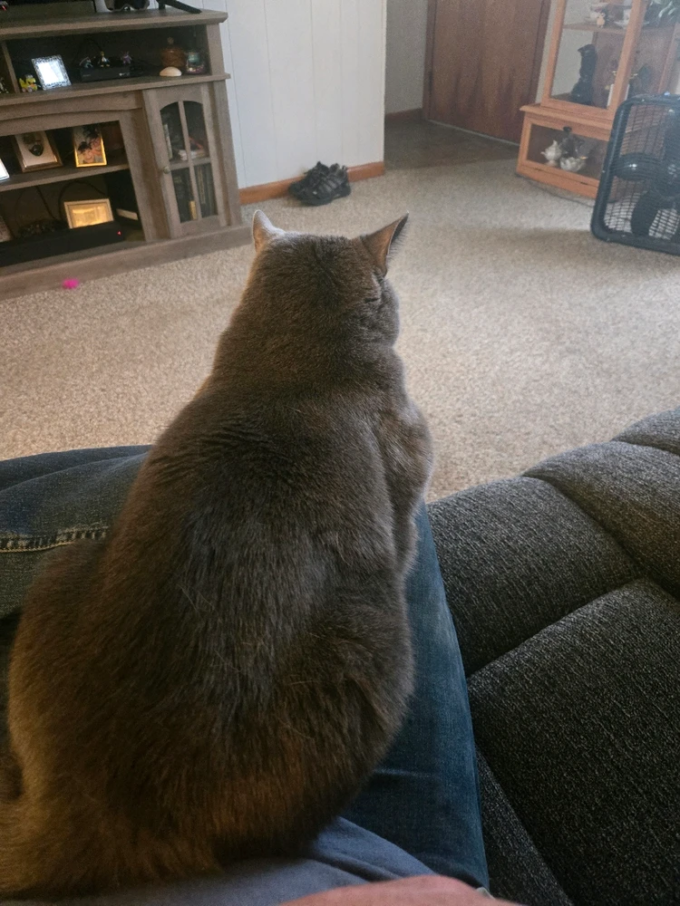 Image uploaded by Christopher