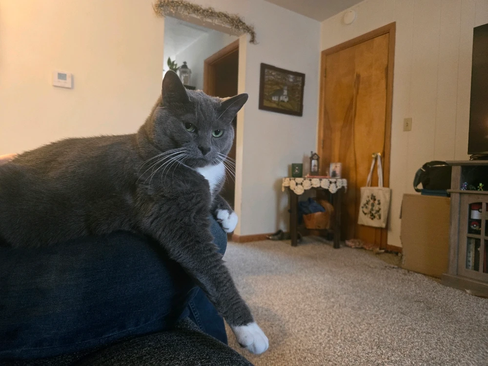 Image uploaded by Christopher