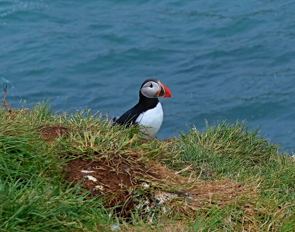 Obrázek nahrál Daniel Kovář