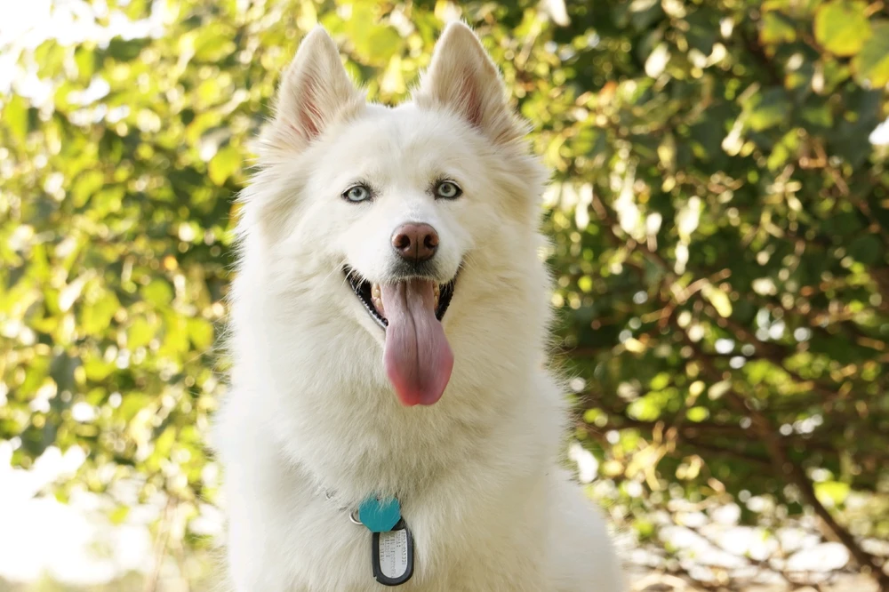 Bild hochgeladen von Jay