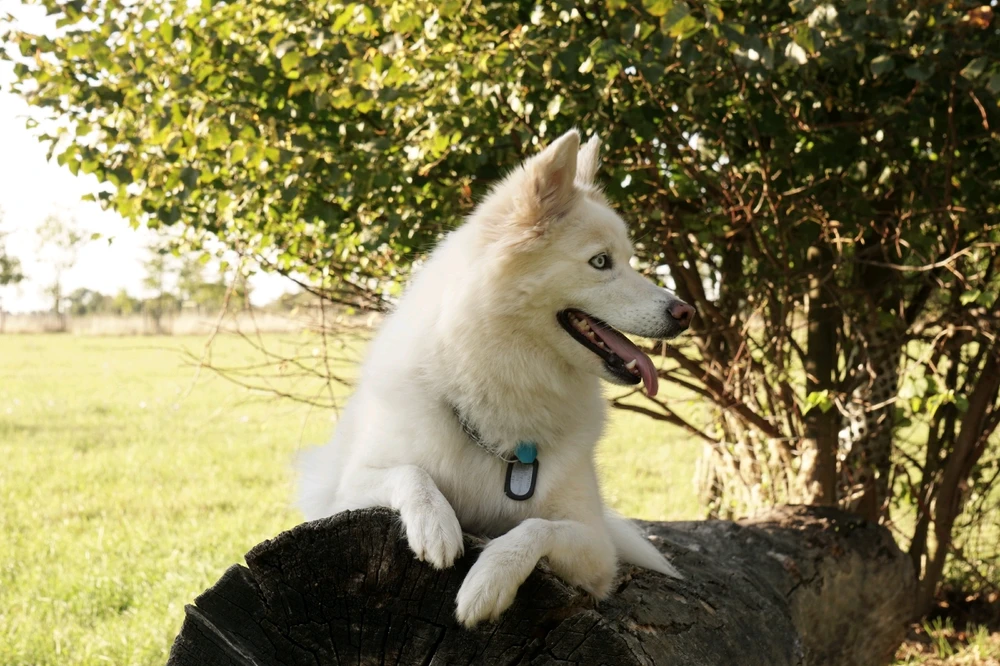 Bild hochgeladen von Jay