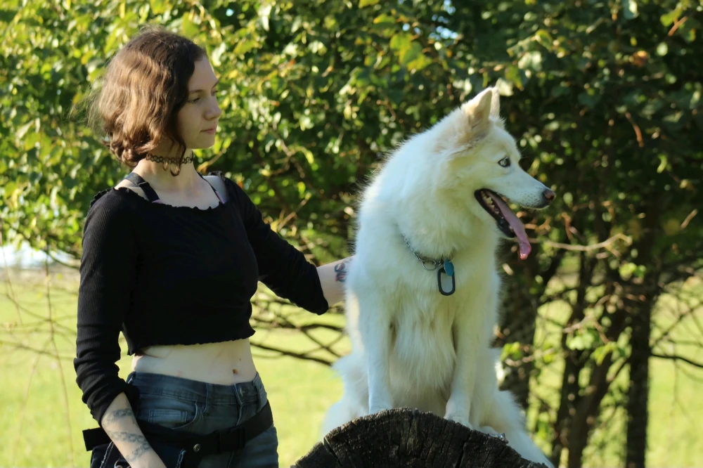 Bild hochgeladen von Jay