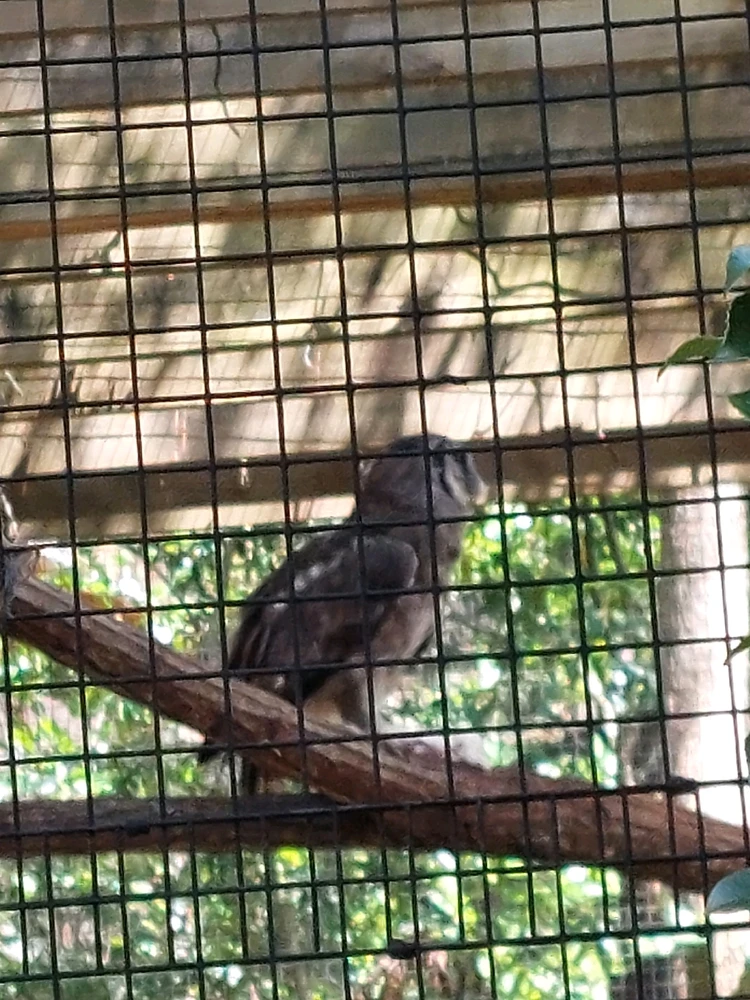 GIF diunggah dening Jonathan