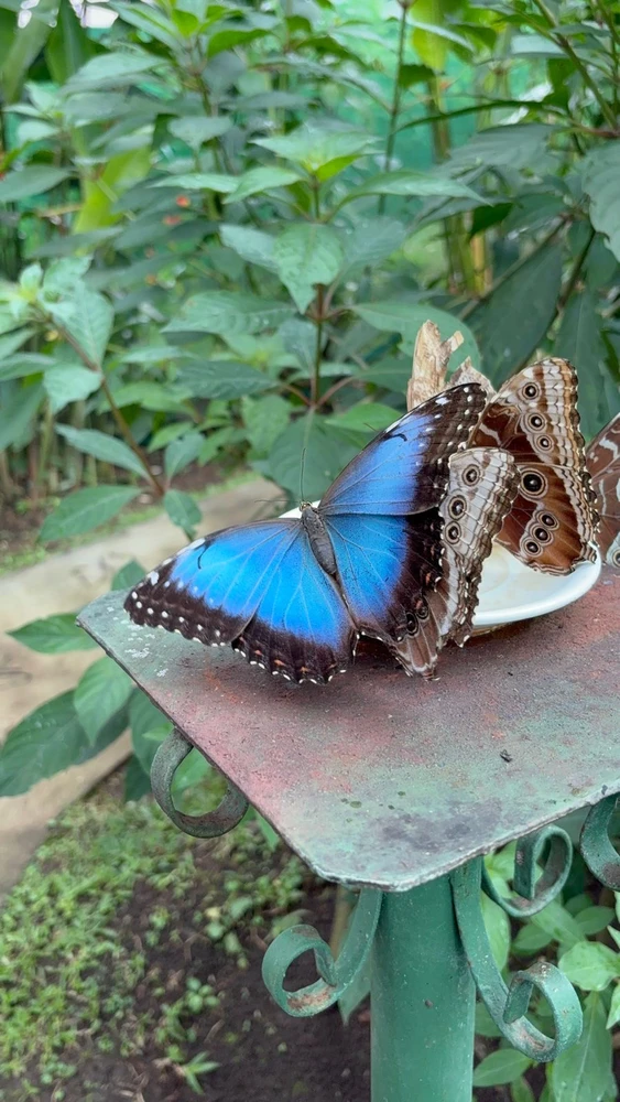 Image uploaded by Paola