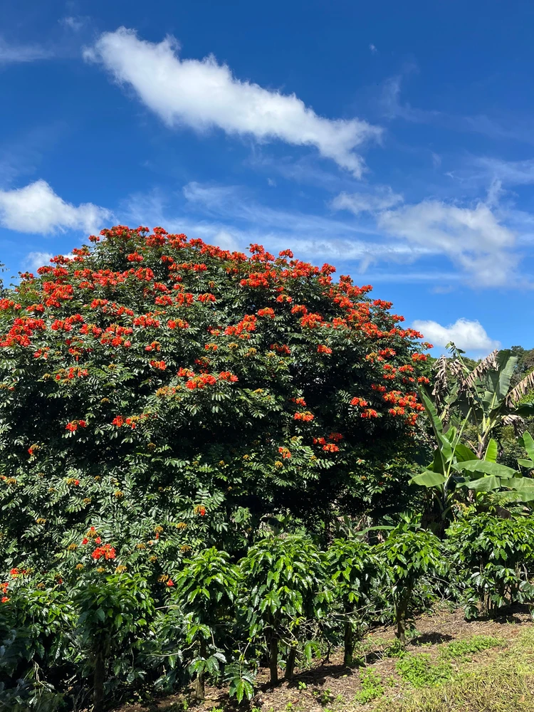 Image uploaded by Paola