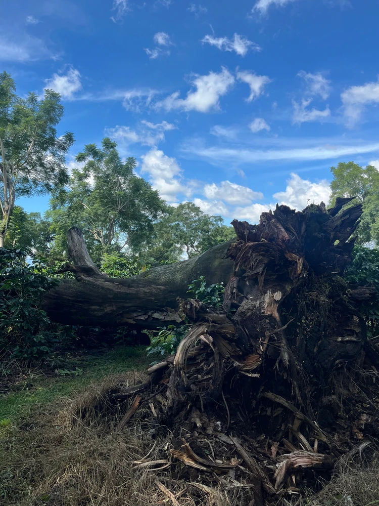 Image uploaded by Paola