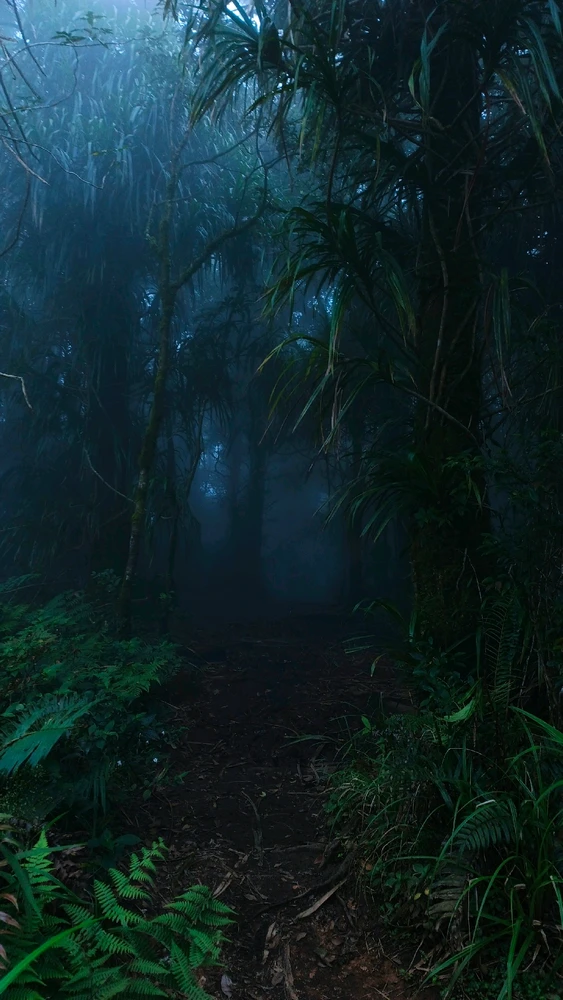 Gambar diunggah oleh Wil