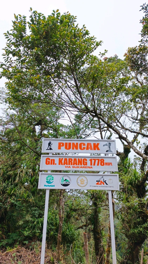 Gambar diunggah oleh Wil