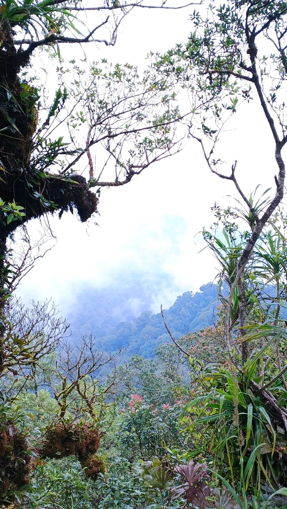 Gambar diunggah oleh Wil