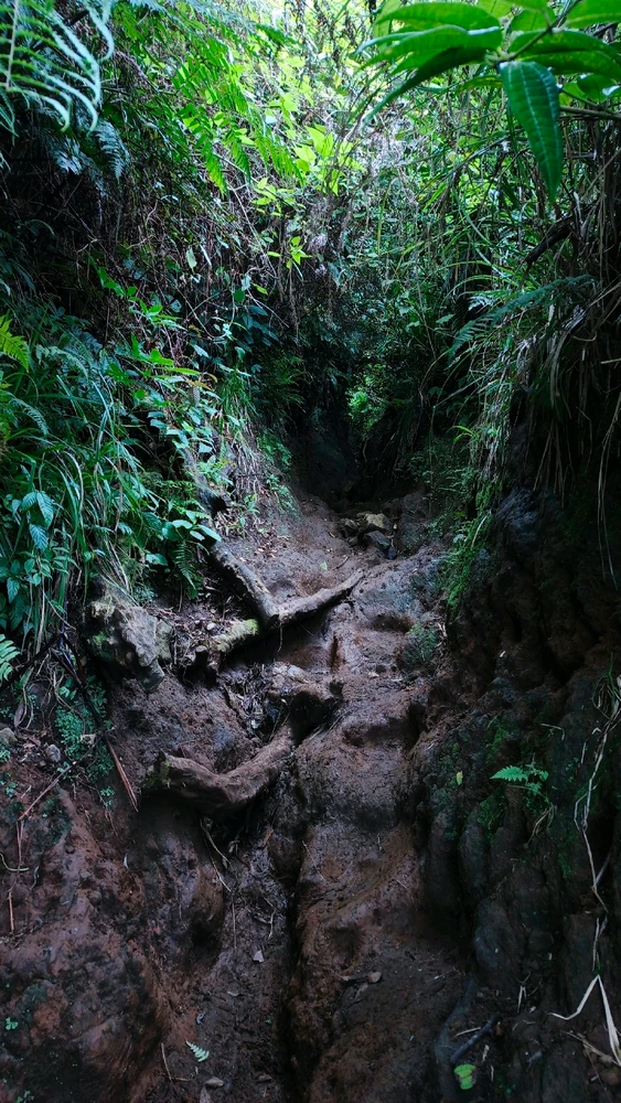 Gambar diunggah oleh Wil