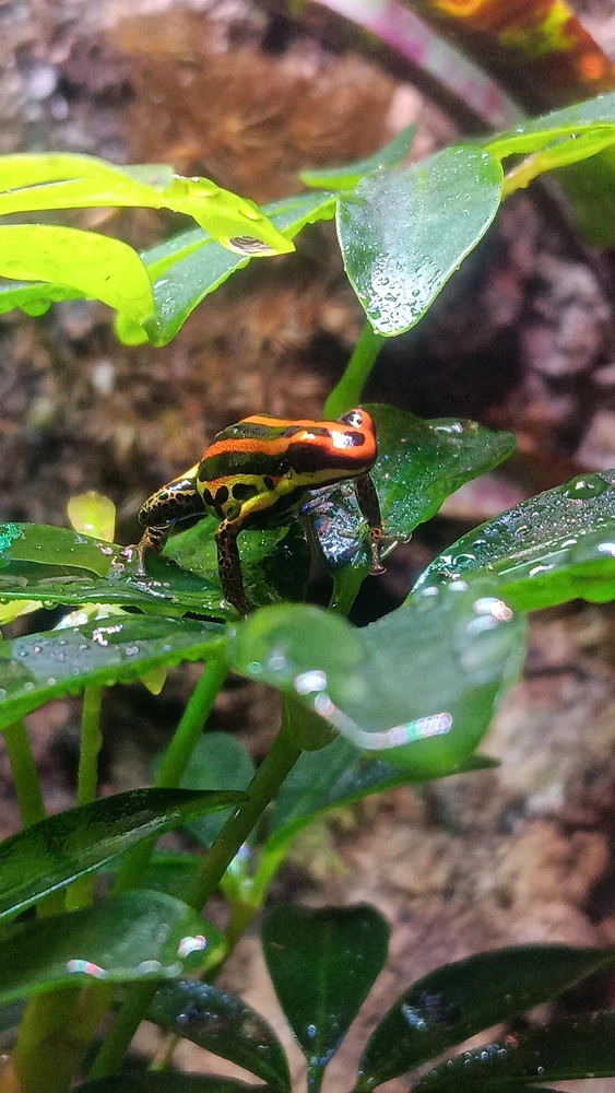 GIF diunggah dening R