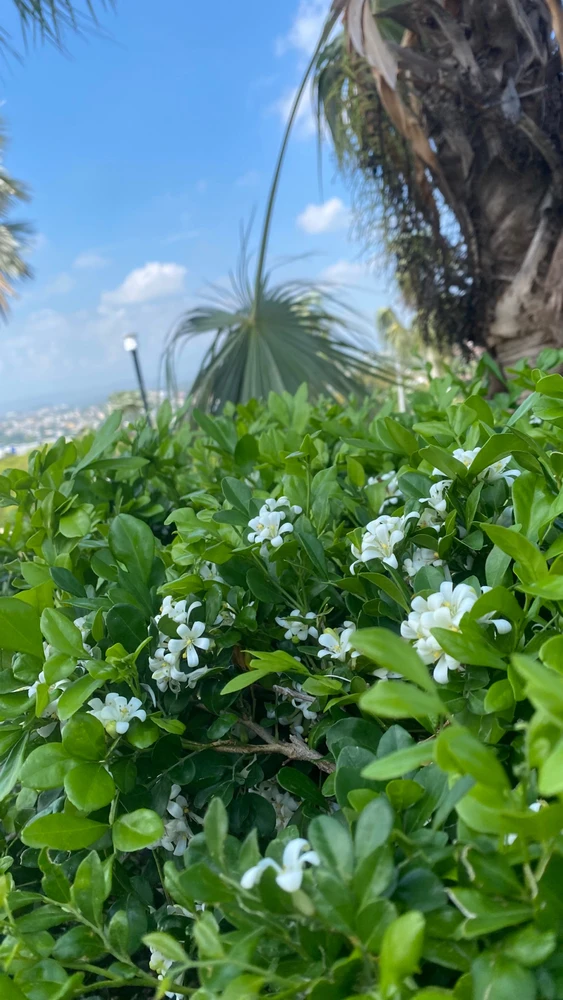 GIF subido por Paola