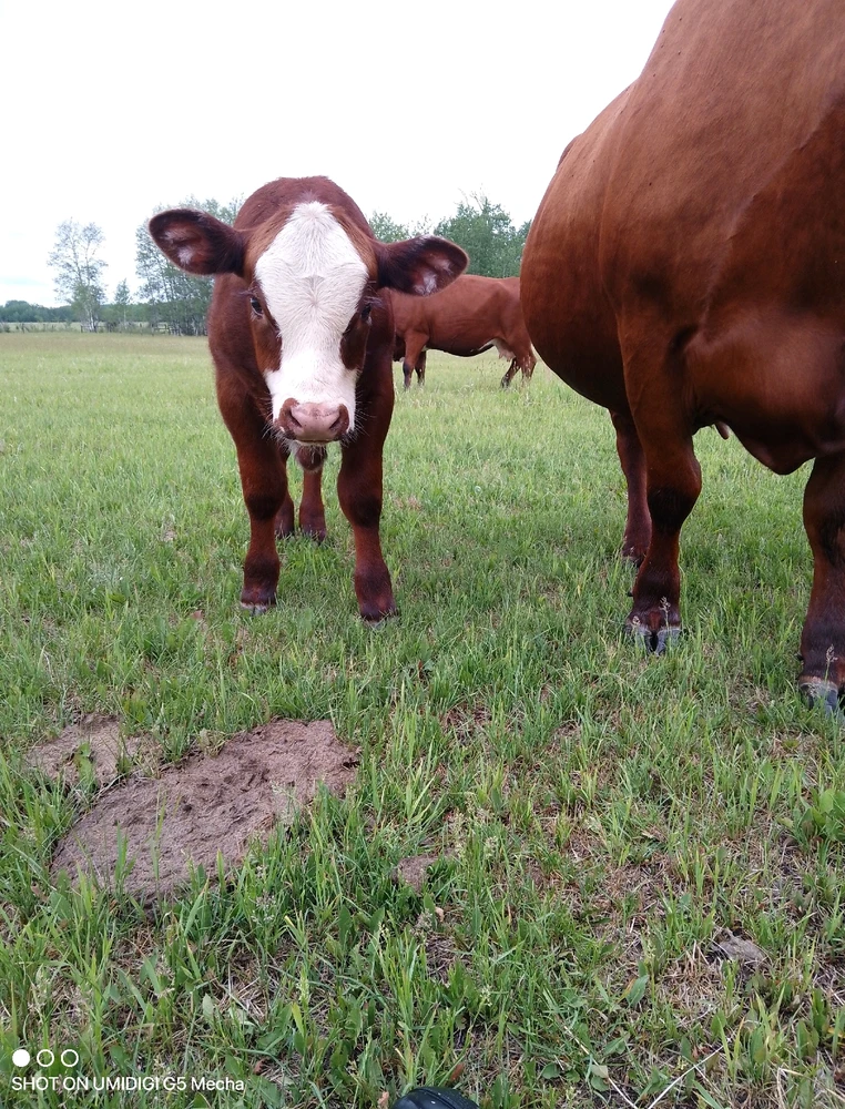 GIF uploaded by Russ