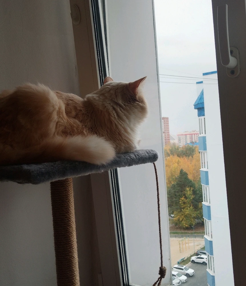 GIF uploaded by Tusya