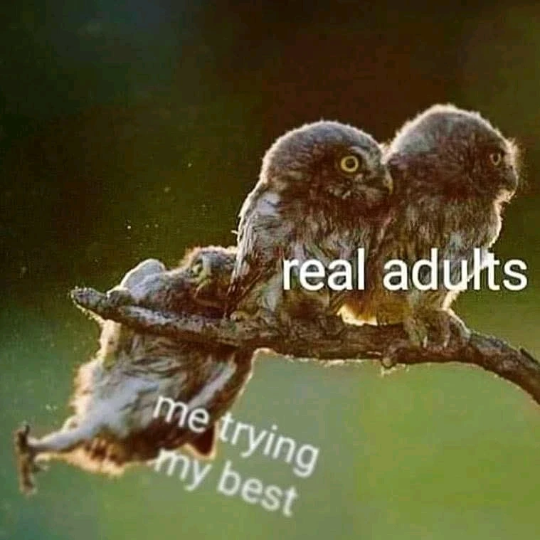 GIF hochgeladen von Lorenzo von Matterhorn