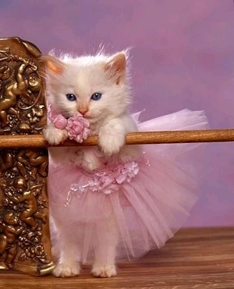 Online matches love to yell at me.

Me :