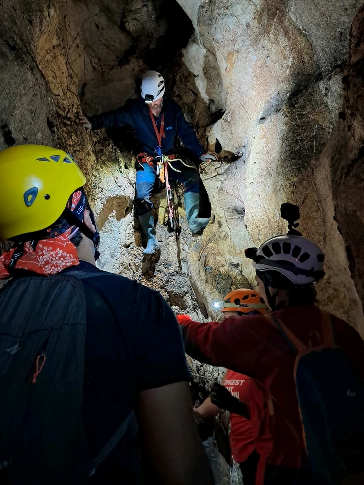 Ermin tarafından yüklenen GIF