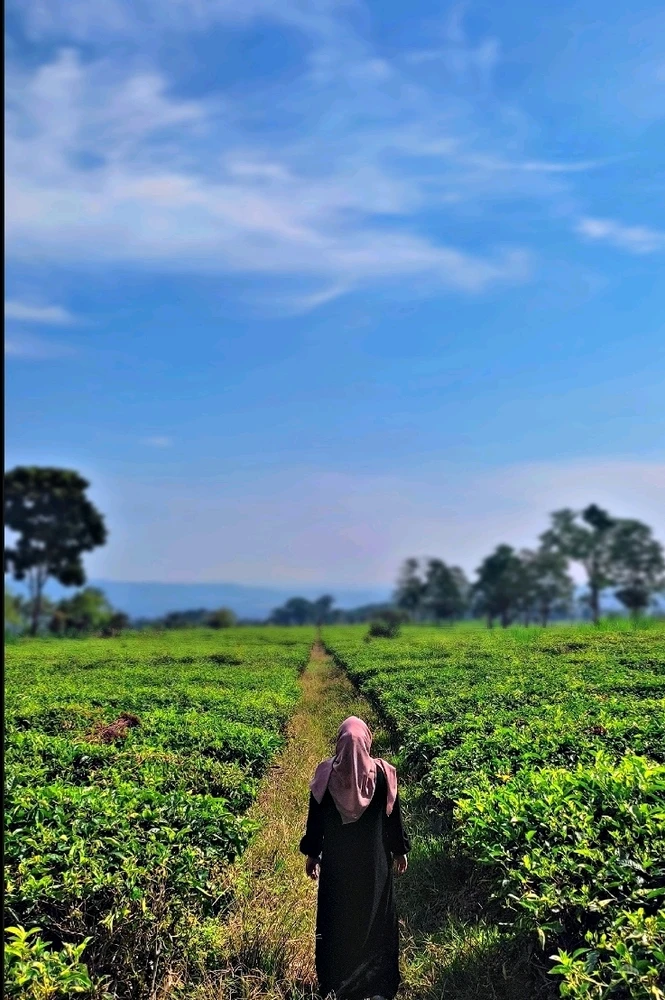 Gambar diunggah oleh Ucci