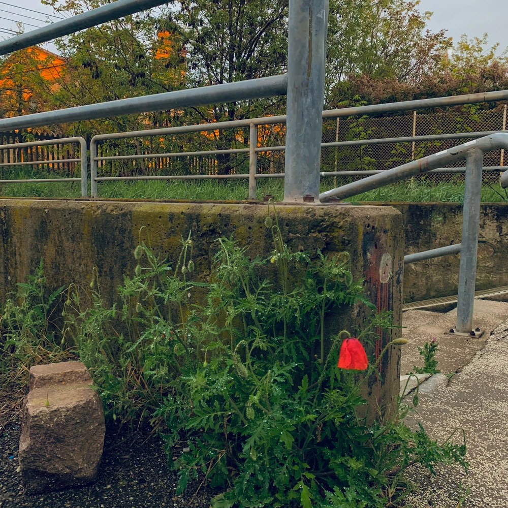 GIF caricata da Alessandro