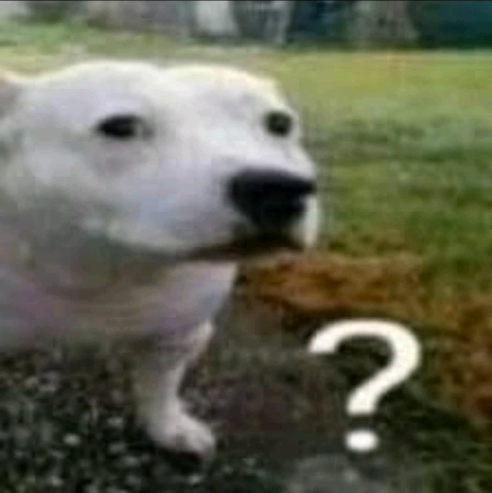 GIF tso los ntawm Erica