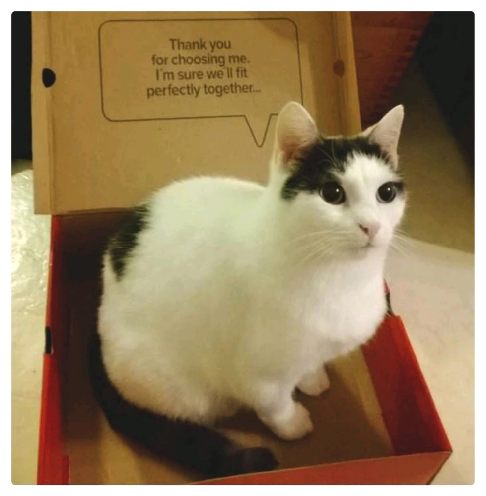 GIF hochgeladen von Doris