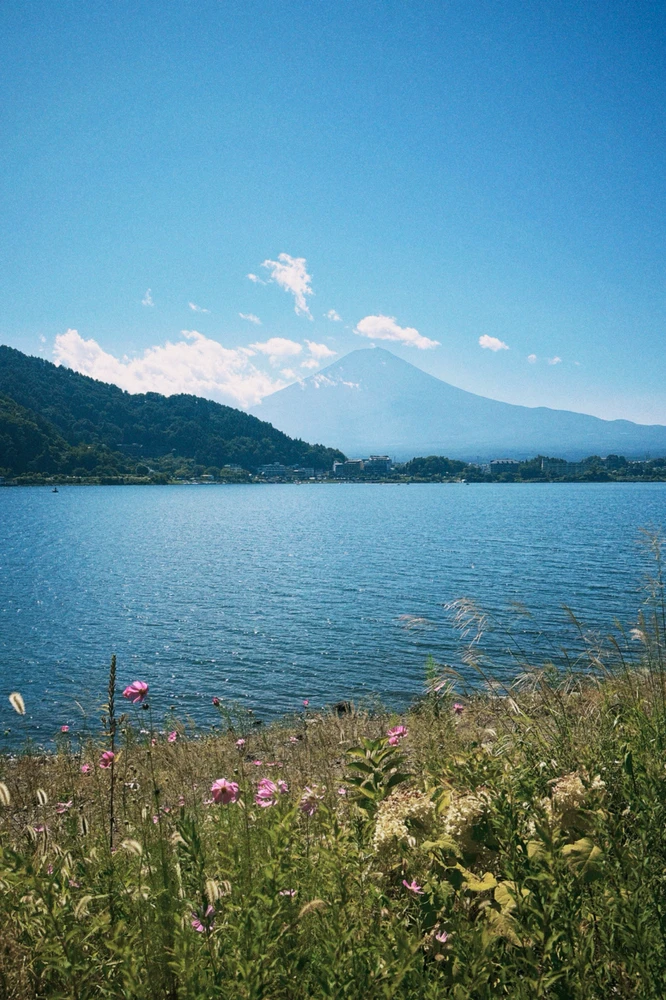 Gambar diunggah dening Pat♡