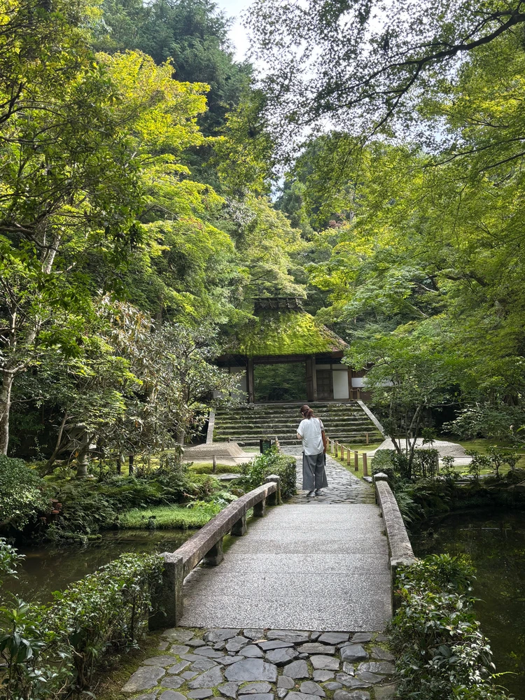 Gambar diunggah dening Pat♡