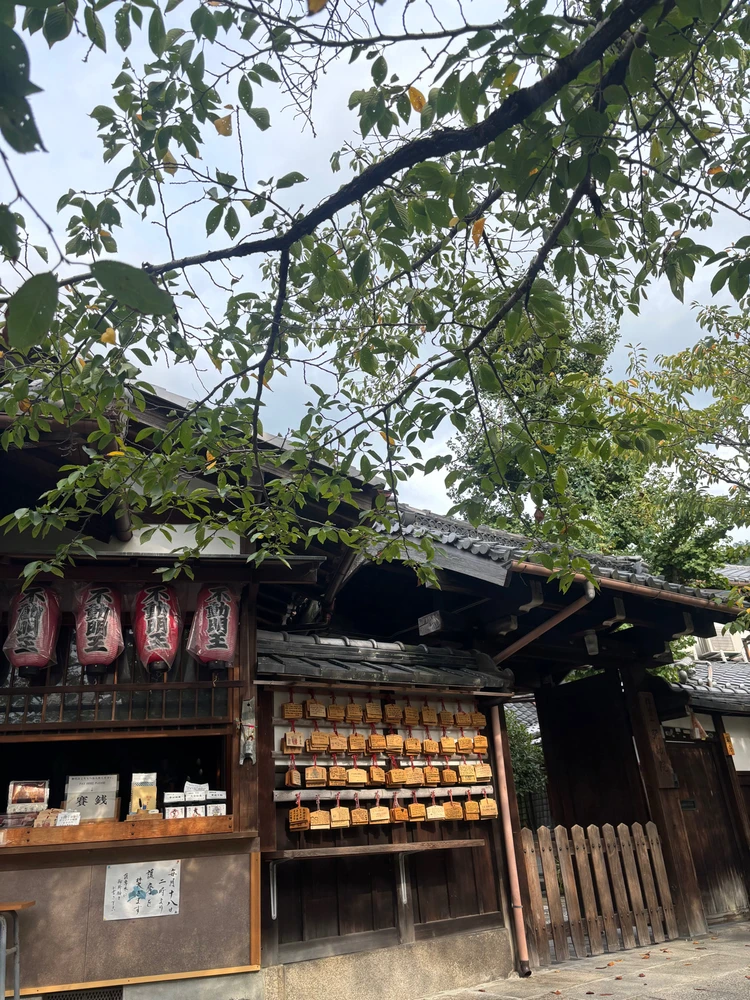 Gambar diunggah dening Pat♡