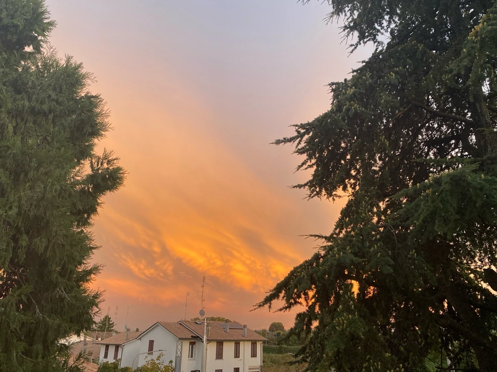 GIF caricata da Lolly