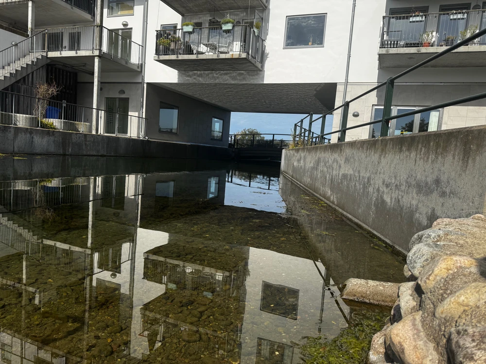 Billede uploadet af Thorbjørn